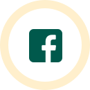 socialMediaIcon