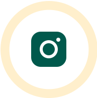 socialMediaIcon